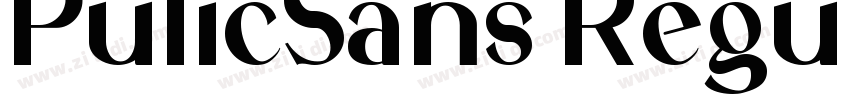 PulicSans Regular字体转换